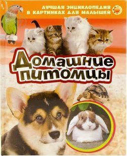 Енциклопедія для допитливих. Тварини. Автор: Жабська Т.С. (1692456) Зоологія 1692456 фото