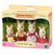 Игровой набор Семья шоколадных Кроликов Sylvanian Families / Calico Critters (4018) 4150 фото 3