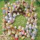 Игровой набор Семья шоколадных Кроликов Sylvanian Families / Calico Critters (4018) 4150 фото 10