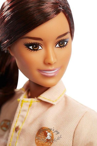 Кукла Barbie Зоолог с обезьянкой National Geographic GDM44/GDM48 фото