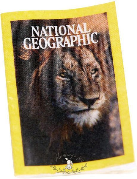 Кукла Barbie Photojournalist Фотожурналист National Geographic GDM46 фото